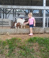 Polk County Fair