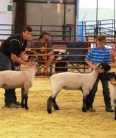 Polk County Fair