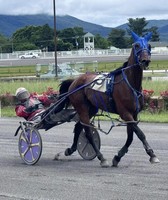 Shenandoah County Fair