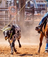 Sabine Parish Fair & Rodeo