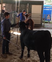 Sabine Parish Fair & Rodeo