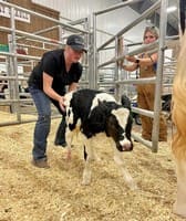 Erie County Fair