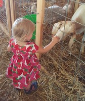 Barry County Fair