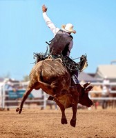 Berrien County Youth Fair