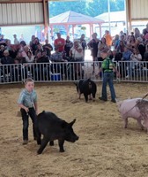 Berrien County Youth Fair