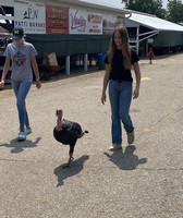 Clinton County 4-H & Youth Fair