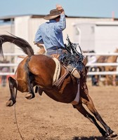 Eaton County Fair