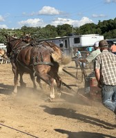 Eaton County Fair