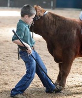 Isabella County Youth & Farm Fair 