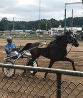 St. Joseph County Grange Fair 