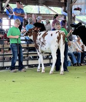 Newton County Pun’kin Vine Fair