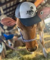 Dutchess County Fair