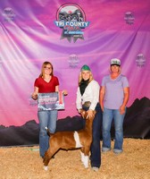 Tri-County Fair