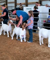 Winona County Fair