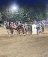Carroll County 4H & FFA Fair