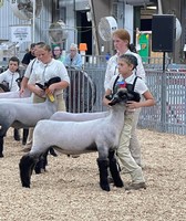 Carroll County 4H & FFA Fair