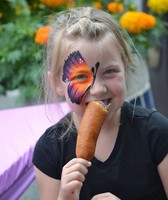 Shasta District Fair