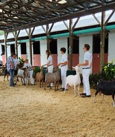 Altamont Fair