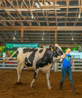 Broome County Fair