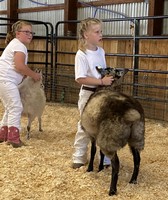 Cortland County Junior Fair