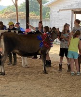 Cortland County Junior Fair