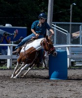 Delaware County Fair