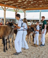 Delaware County Fair