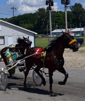 Franklin County Fair