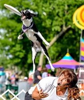 Niagara County Fair