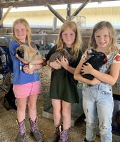 Ontario County Fair