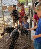 Howard County Fair