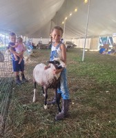 Wayne County Fair