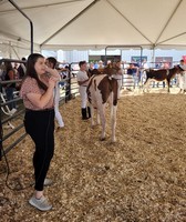 Wayne County Fair