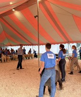 Washington County Fair