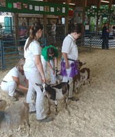 Schaghticoke Fair