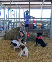 South Logan County Fair