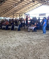 Madison County Fair