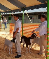 Prince George's County Fair