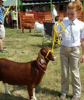Prince George's County Fair