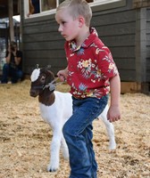 Van Buren County Fair