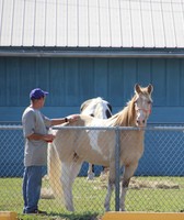 Central Panhandle Fair