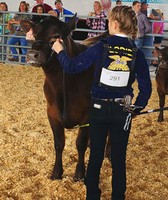 Central Florida Fair