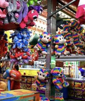 Sarasota County Fair