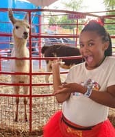 Mid-South Fair