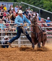 Tennessee Valley Fair