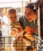 Tennessee Valley Fair