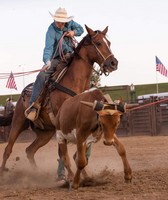 Dearborn County Fair