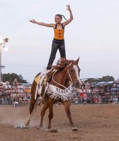 Dearborn County Fair