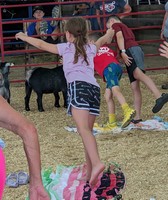 Dubois County 4-H Fair