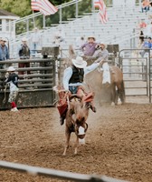 Elkhart County 4-H Fair
